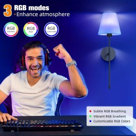 2-Pack Rechargeable Wall Lamp with Remote Control, Black/Golden Battery Powered Wall Light with Cordless White Fabric Shade, Non-Hardwired for Living Room, Bedroom, Hallway Decor (Color Adjustable), Wall Lights for Living Room, Bedroom Lighting, Modern Lighting, Durable Lighting